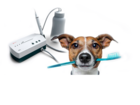 Уникальное изображение Услуги для животных Чистка зубного камня у собак мини-пород в Балаково 73611365 в Балаково