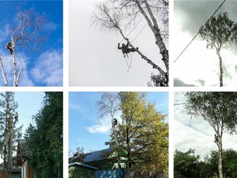 Просмотреть изображение  Спил аварийных опасных деревьев 66237278 в Белгороде