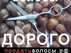         - 37156552  -