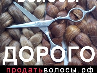 Уникальное изображение Косметические услуги Куплю длинные волосы в Каменск-Уральском 37156552 в Каменск-Уральске