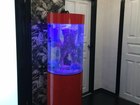 Просмотреть фотографию Аквариумы Продам потрясающий цилиндрический аквариум 41587745 в Кемерово