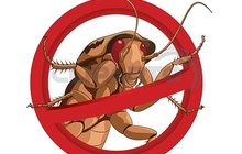 уничтожение-выведение травля клопов тараканов Нано технология 