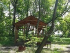   foto        35302838  