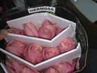 Скачать изображение Разное Предлагаем Эквадорскую розу Topaz Оптом напямую от производителя от 1 Коробки, 41119616 в Краснодаре