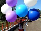  foto   ,   33248689  