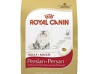 Новое изображение Корм для животных Royal Canin ФБН Персиан 2 кг- Корм для персидских кошек  37688032 в Красноярске