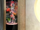 Смотреть фотографию Аквариумы Оригинальный аквариум marvelous aqva на 150 л 41700049 в Красноярске