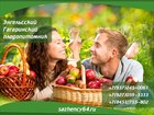  foto      , 69671381  