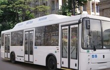   516 