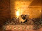  foto         32369433  