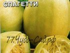 Скачать бесплатно foto  Продаю семена кабачка спагетти 32371733 в Москве