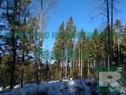 Скачать изображение  Продаётся земельный участок 5,8 Га в черте города Обнинска 32431630 в Обнинске