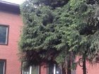   foto   32969120  