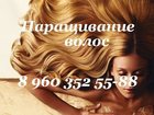       33044441  