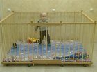 Скачать бесплатно изображение Детская мебель Манеж детский отечественный деревянный 1, 3х1, 8м с высокими стенками 80см 34255653 в Тюмени