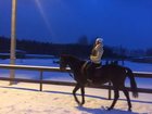 Уникальное foto  Конные прогулки, катание на лошадях, в санях 34273711 в Москве