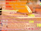         38010956  