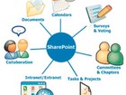    ,      MS Sharepoint Server 2003/2007/2010/2013 38862959  