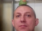Уникальное фотографию Ветаптеки Лечение попугаев и птиц в Москве, 80205181 в Москве