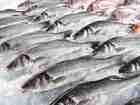 Смотреть фотографию  ООО «ИСТА» Торговля оптовая рыбой, ракообразными и моллюсками 83625293 в Москве