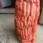 Оптовая и розничная продажа моркови от производителя