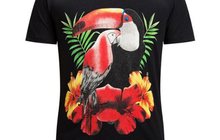  Philipp Plein Macaw Parrot