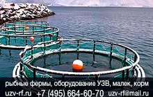 Цена на готовые УЗВ, Купить готовые УЗВ для разведения рыбы в России