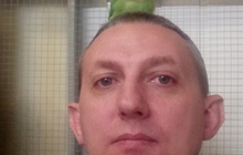 Лечение попугаев и птиц в Москве
