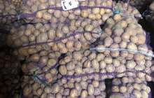 Продается картофель оптом от производителя, Спас-Клепики