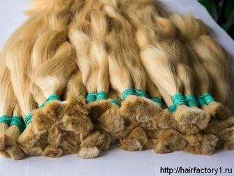 Скачать изображение  Волосы для наращивания СЛАВЯНКА! От производителя! 36771442 в Калининграде