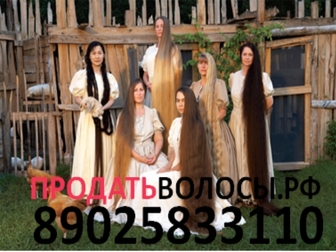 Смотреть изображение Парикмахерские услуги Продать волосы в Москве, Дорого 61742252 в Москве