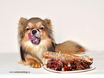Скачать бесплатно фотографию Корм для животных Натуральные сушёные деликатесы для собак 82791600 в Москве