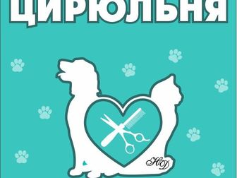 Уникальное фотографию Стрижка собак Стрижка собак и кошек всех пород 85017832 в Москве