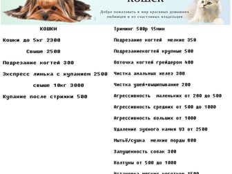 Скачать бесплатно foto Стрижка собак Грумер из ГрумЛюкс приедет к вам домой 85017864 в Москве