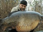      FishHungry 38471169  