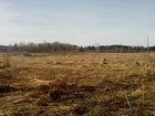  foto     39004116  -