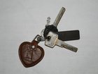 Скачать бесплатно изображение Находки найдены ключи 32370060 в Новосибирске
