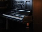     Steinway & Sons 32530544  