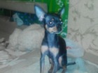   foto       33047093  