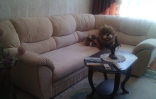 Угловой диван и кресло