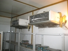 foto    38616876  