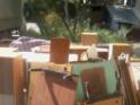 Просмотреть foto Разное вывоз мебели на свалку т 89050318168 Саратов 39157192 в Саратове
