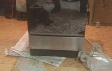   indesit K3G1