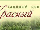 Просмотреть foto  Садовый центр «Красный Клен» 34984839 в Смоленске