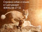           55-97-87 38316371  