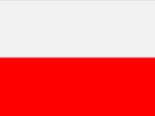 Скачать изображение Иностранные языки Польский и чешский языки 33753454 в Туле
