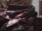   foto     38520287  