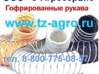  foto     32747486  