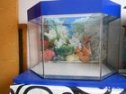 foto     32696139  