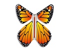 Уникальное фото  Летающая бабочка «MAGIC FLYER 33893428 в Волгограде